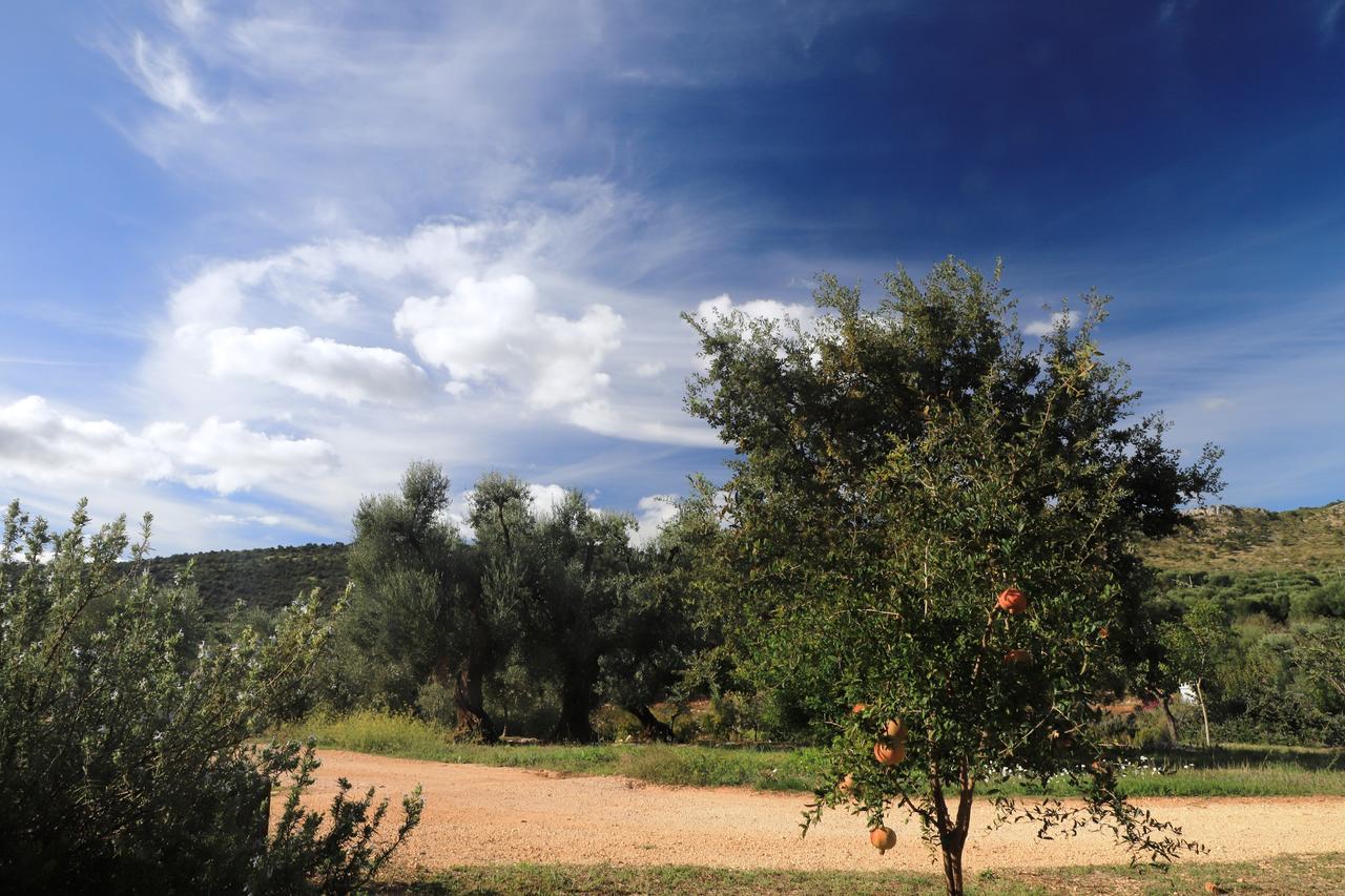 Masseria Lama Di Galizia Villa Ostuni Exterior photo